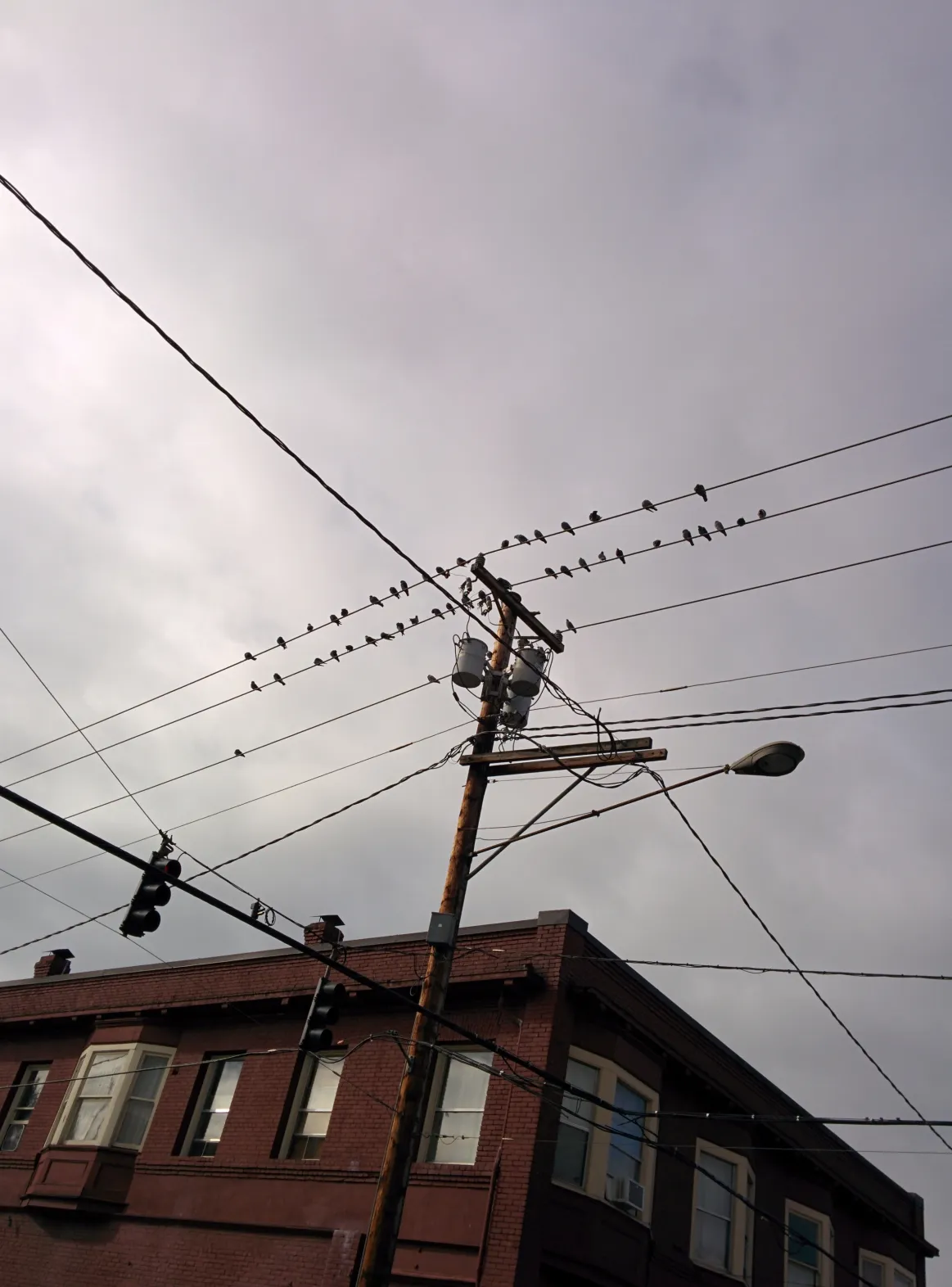 Grid Connections