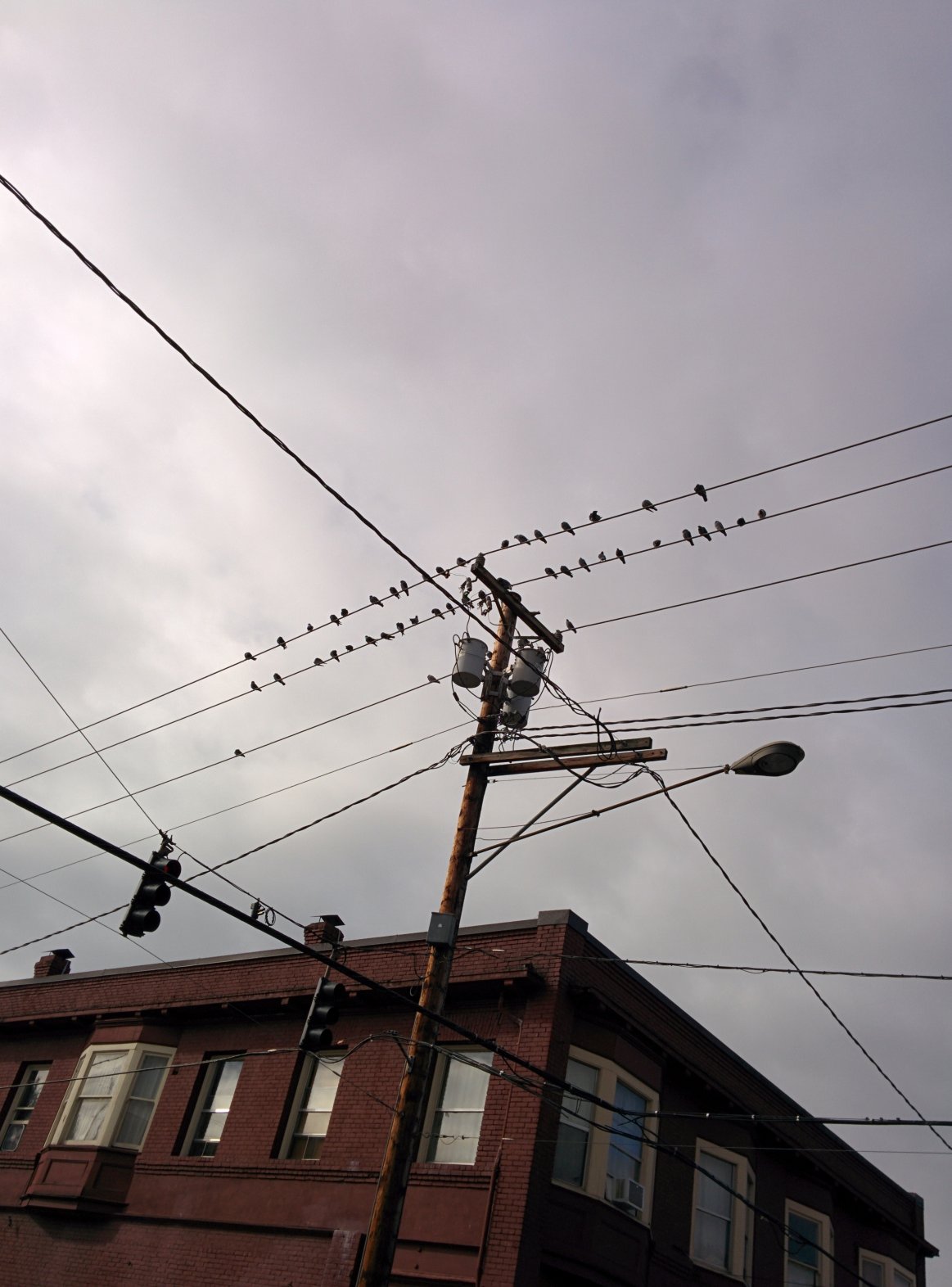 Grid Connections
