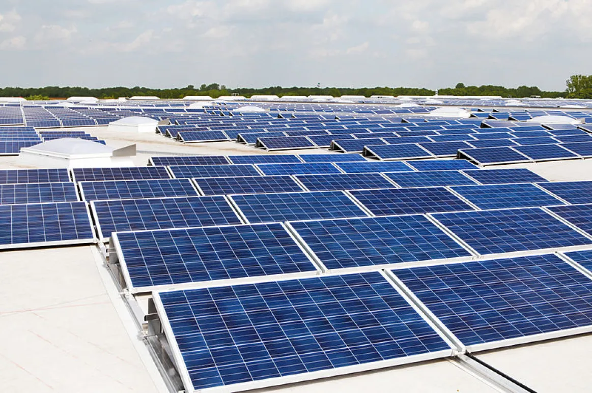 Rows of Solar Panels