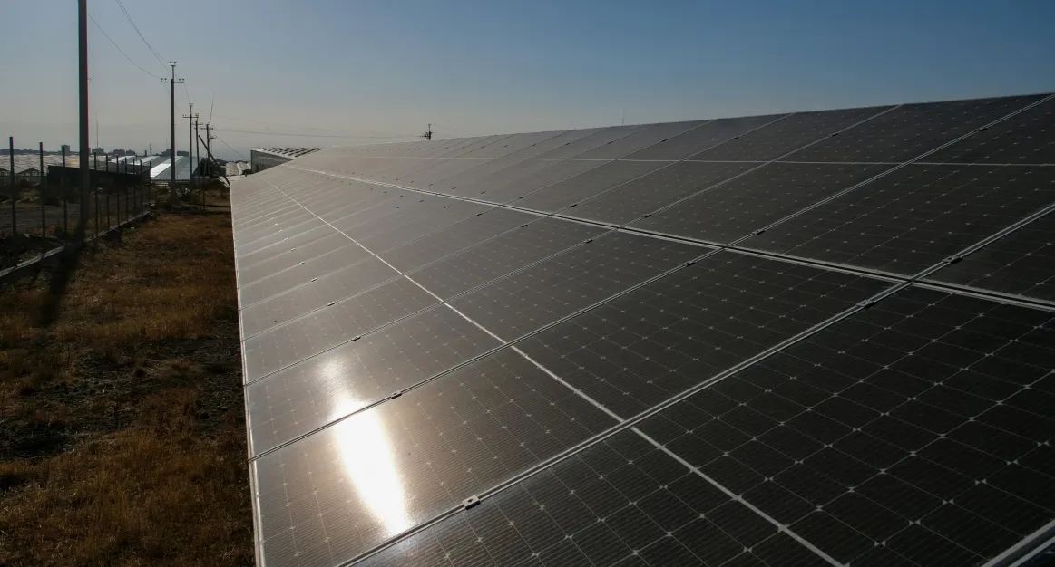 Commercial solar panel ground mount array in sunlight. 