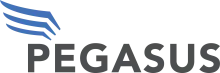 Pegasus Solar Logo