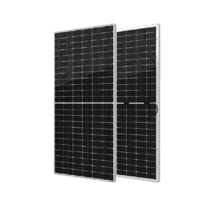 SEG Solar 585W 144 Half-Cell N-Type Silver Bifacial Solar Panel, SEG-585-BTA-BG