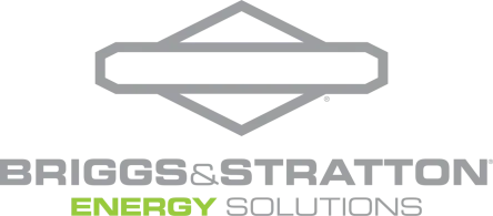 Briggs&Stratton Logo