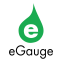 eGauge Systems Logo