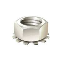 Mudge Fasteners Stainless Steel 10-32 Grounding Starnut, 10FNKES
