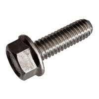 Roof Tech 5/16" x 25mm Flange Bolt, RT2-04-FBN25