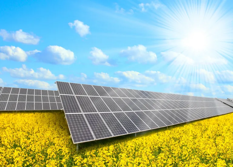 EZ Solar Counter Day