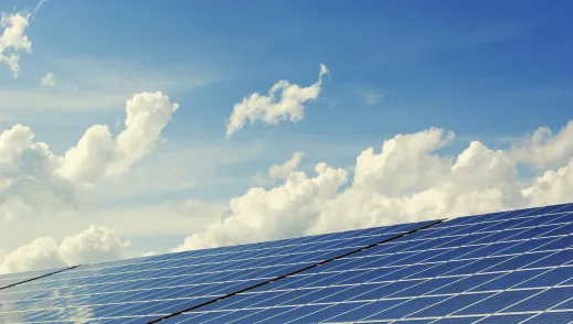 solar panels