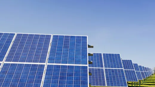 solar panels