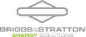 Briggs&Stratton Logo