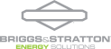 Briggs&Stratton Logo