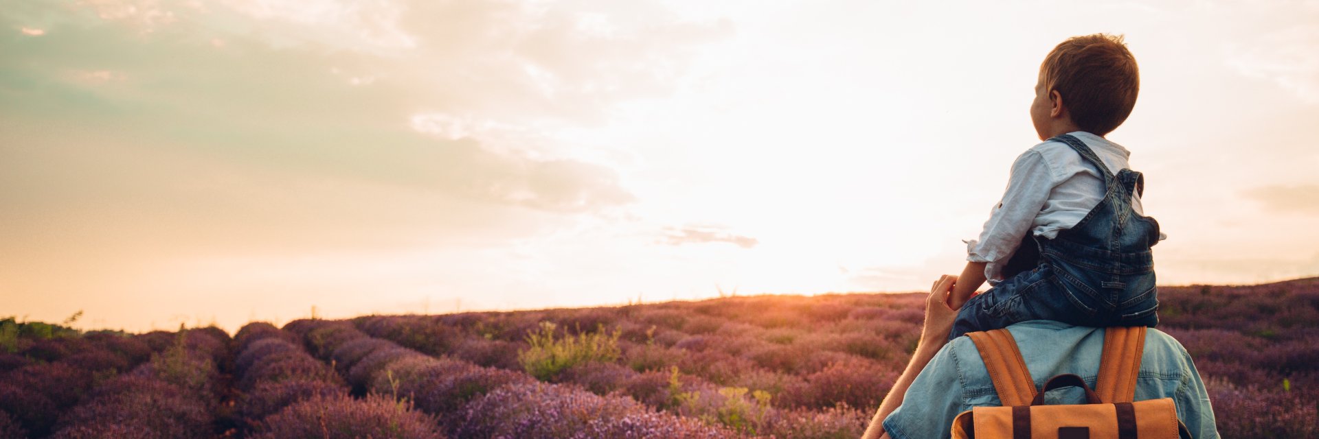Boy in a field of lavender