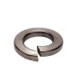Mudge Fasteners 5/16" Split Lockwasher 18-8 Stainless Steel, 361031SS