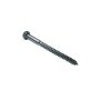 Mudge Fasteners 5/16 x 6" Hex Lag Screw Stainless Steel, 251031L0600SS