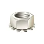 Mudge Fasteners Stainless Steel 10-32 Grounding Starnut, 10FNKES