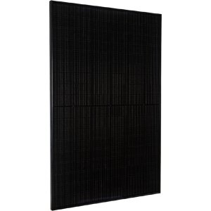 【世界4枚】⭐︎神個体⭐︎トウコ SAR Genemix Black 10 トウコ SARの買取価格推移と値段相場！PSA10の値段や枚数【ポケカ/ポケモン