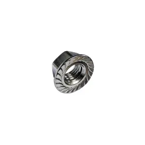 Mudge Fasteners 3/8-16 Serrated Flange Locknut 18-8 Stainless Steel, 317037CSS