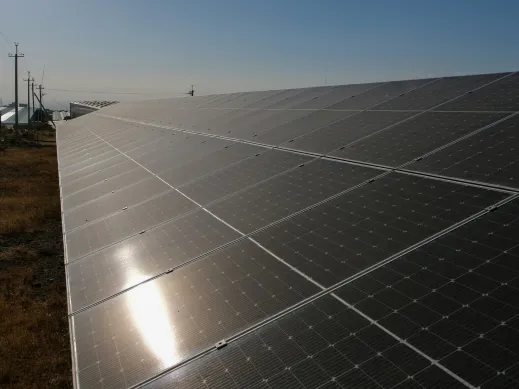 Commercial solar panel ground mount array in sunlight. 